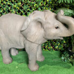 African Elephant - Prop For Hire