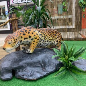 African Leopard - Prop For Hire