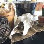 Animal Bones - Prop For Hire