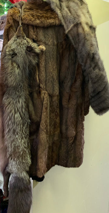Animal Fur - Prop For Hire
