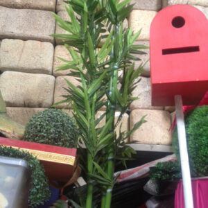 Bamboo Palm 2 - Prop For Hire
