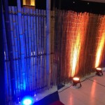 Bamboo Reed Walls 2 - Prop For Hire