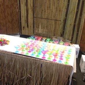 Bamboo Thatch Bar - Prop For Hire