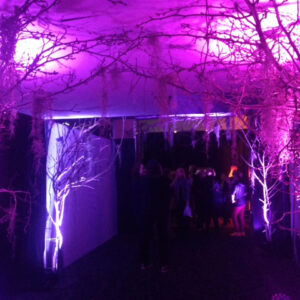 Bare Trees Archway 1 - Prop For Hire