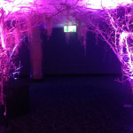 Bare Trees Archway 2 - Prop For Hire