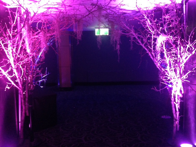 Bare Trees Archway 2 - Prop For Hire