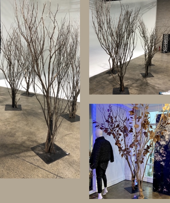 Bare Winter Trees - Prop For Hire