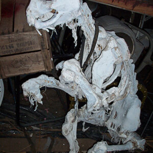 Beast Carcass - Prop For Hire