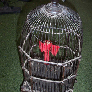 Birdcage 1 - Prop For Hire