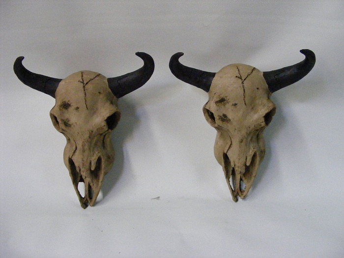 Buffalo Skulls - Prop For Hire