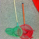 Butterfly Nets - Prop For Hire