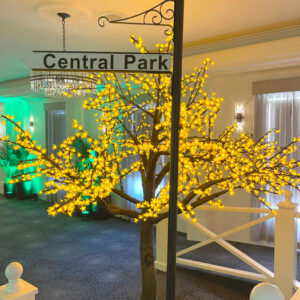 Central Park Sign - Prop For Hire
