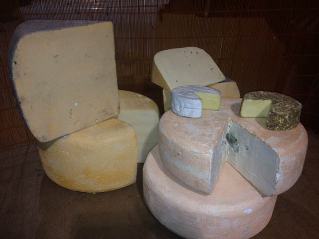 Cheese 2 - Prop For Hire
