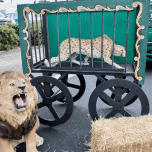 Circus Animal Cart - Prop For Hire