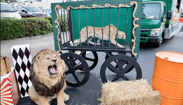 Circus Animal Cart - Prop For Hire