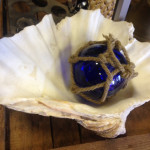 Clam Shell - Prop For Hire