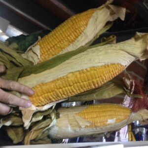 Corn 2 - Prop For Hire