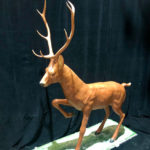 Deer - Prop For Hire