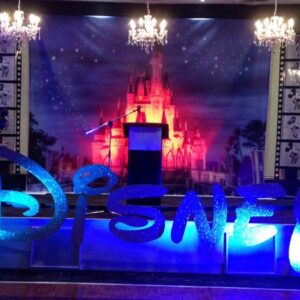 Disney Backdrop - Prop For Hire
