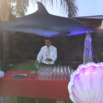 Dolphin Bar - Prop For Hire