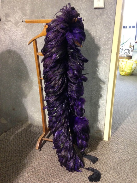 Feather Boa - Prop For Hire