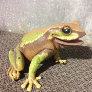 Forest Frog - Prop For Hire