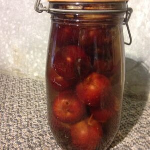 Fruit Jar - Prop For Hire