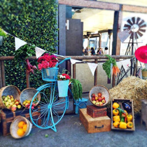 Full Rural Scene - Prop For Hire