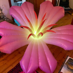 Giant Colour Flower - Prop For Hire