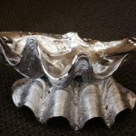 Giant Clam - Prop For Hire