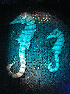 Giant Seahorses - Prop For Hire