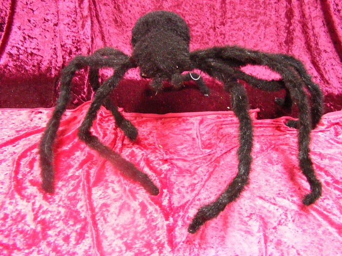 Giant Spider - Prop For Hire