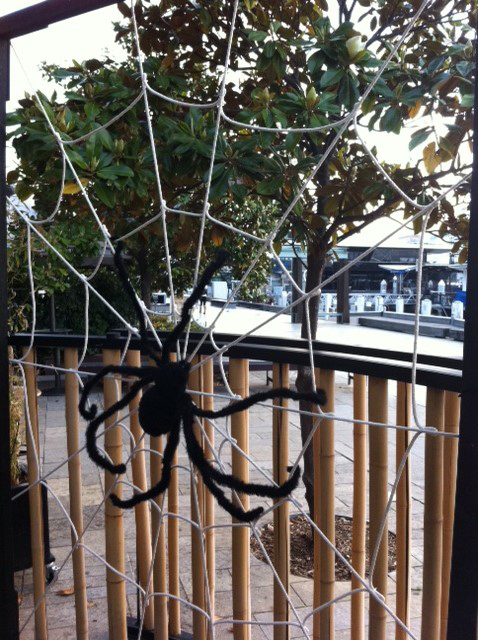 Giant Spider’s Web - Prop For Hire
