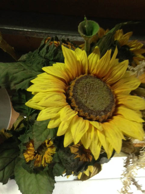 Giant Sunflowers - Prop For Hire