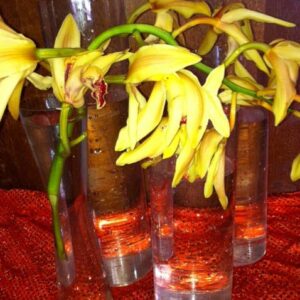 Glass Vases - Prop For Hire