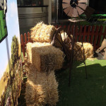 Hay Bales - Prop For Hire