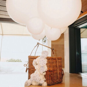 Hot Air Balloon Basket White - Prop For Hire