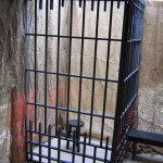 Jail Cell - Prop For Hire