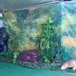 Jungle Animals - Prop For Hire