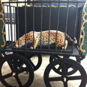 Leopard In Wagon - Prop For Hire