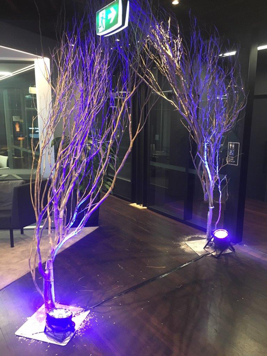 Lit Trees - Prop For Hire