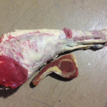 Meat - Prop For Hire
