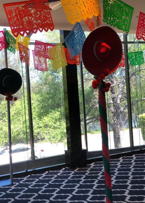 Mexican Bunting - Prop For Hire