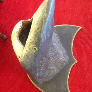 Mounted Shark - Prop For Hire