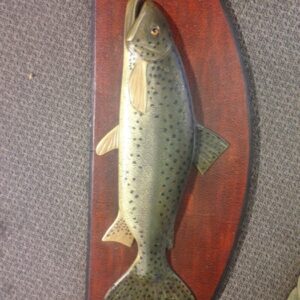 Mounted Trout 1 - Prop For Hire