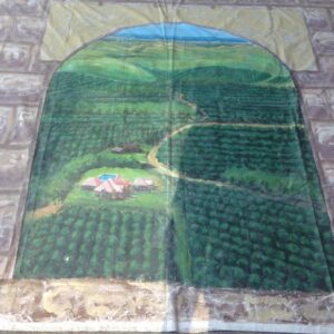 Olive Grove - Prop For Hire