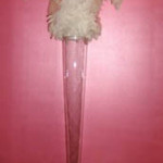 Ostrich Feather - Prop For Hire