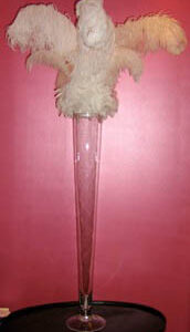 Ostrich Feather - Prop For Hire