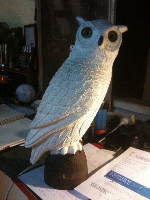 Owl - Prop For Hire