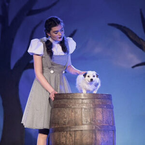 Oz Backdrop - Prop For Hire